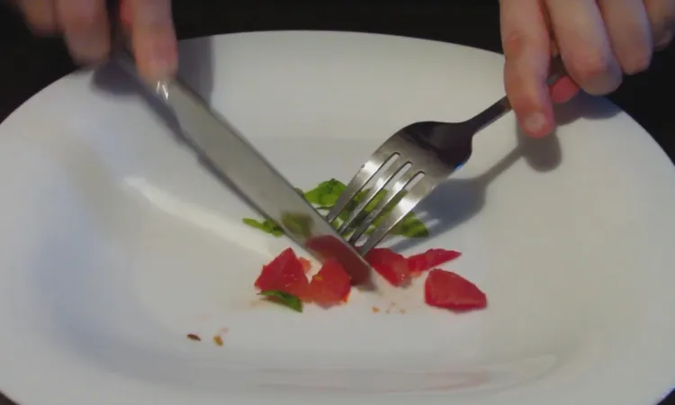 “The World’s Saddest Animal” - REVOLUTIONIZING CINEMA: AUTHENTICITY AND ABSTRACTION IN WORK OF DAVID LYNCH By Amina Halidović