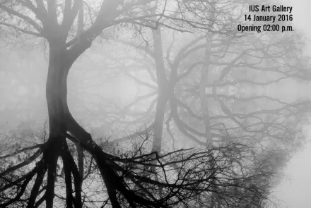 Izložba: VACD Iznad površine